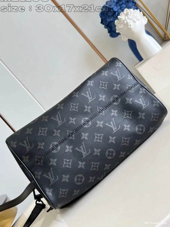 AAA Pruses Bags Louis 30 Vuitton BANDOULIERE SPEEDY 0729